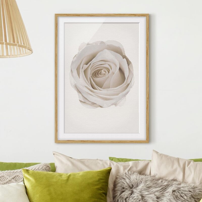 

Póster enmarcado - Acquarelli - Pretty White Rose Dimensión LxA: 24cm x 18cm, Marco: Roble