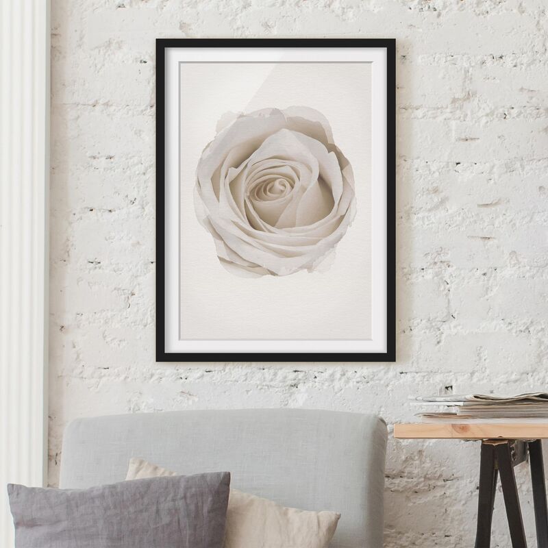 

Póster enmarcado - Acquarelli - Pretty White Rose Dimensión LxA: 70cm x 50cm, Marco: Negro