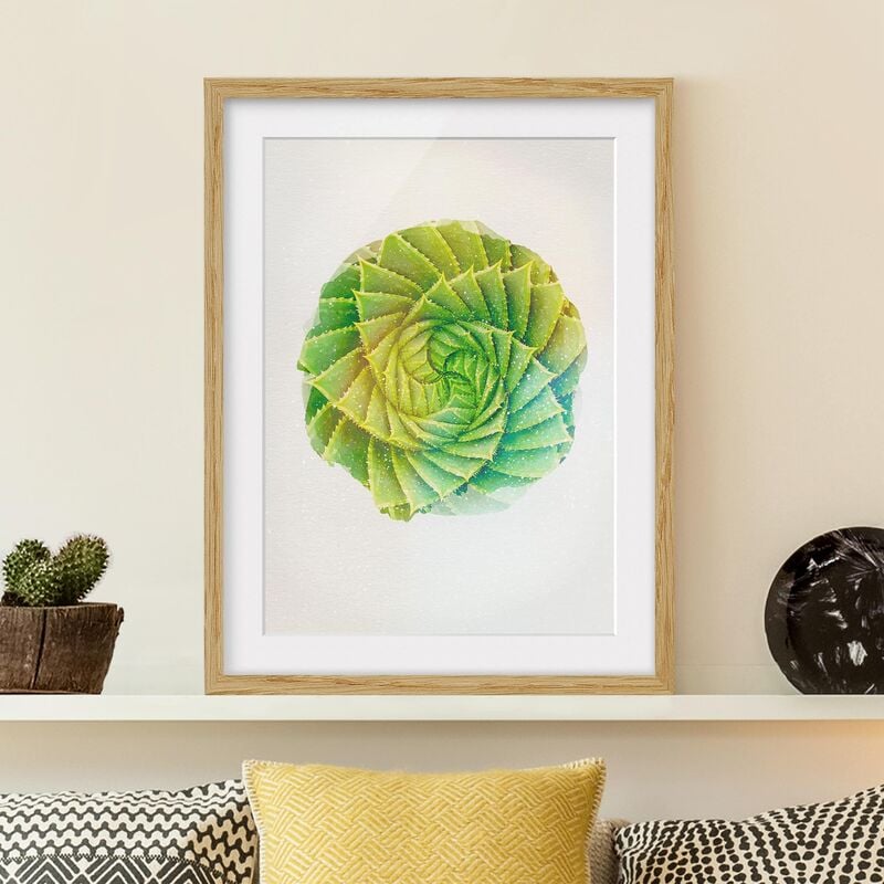 

Póster enmarcado - Acquarelli - Spiral Aloe Dimensión LxA: 70cm x 50cm, Marco: Roble
