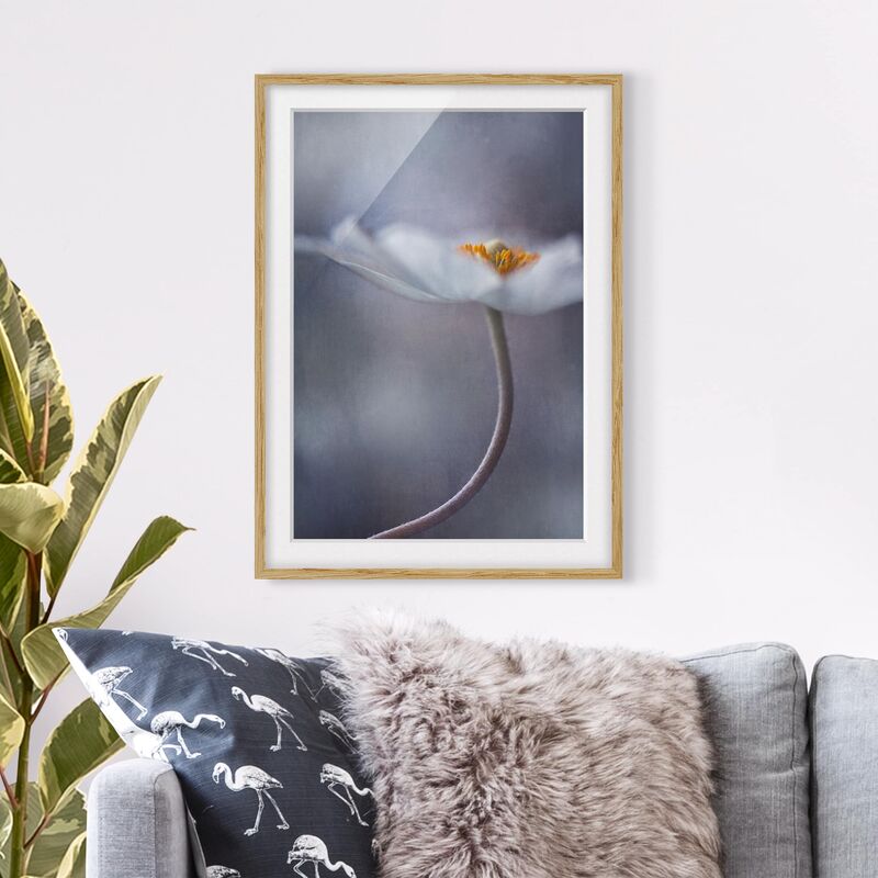 

Póster enmarcado - White Anemones Bloom Dimensión LxA: 70cm x 50cm, Marco: Roble