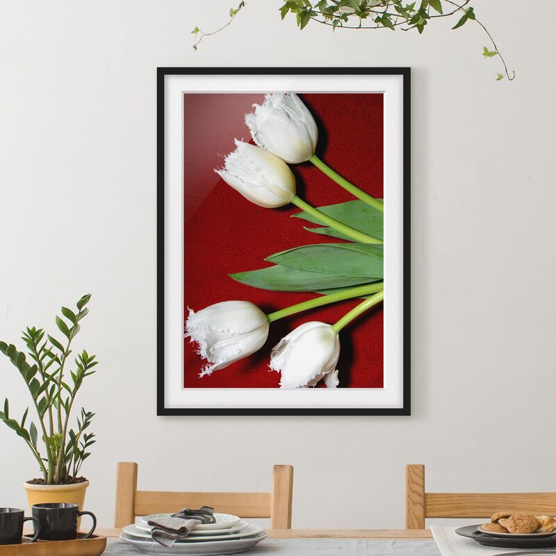 

Póster enmarcado - White Tulips In Feathers Dimensión LxA: 40cm x 30cm, Marco: Negro