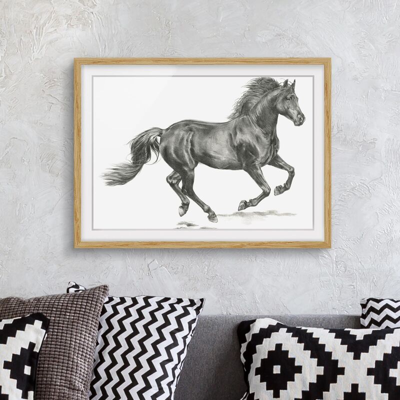 

Póster enmarcado - Wild Horse Trial - Stallion Dimensión LxA: 50cm x 70cm, Marco: Roble