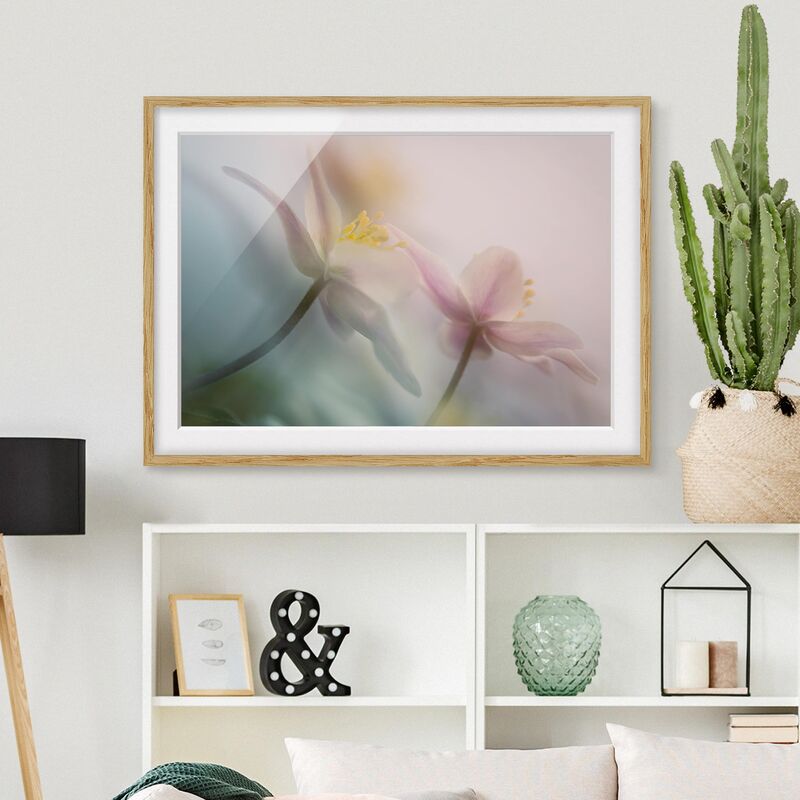 

Póster enmarcado - Windflower Dimensión LxA: 30cm x 40cm, Marco: Roble