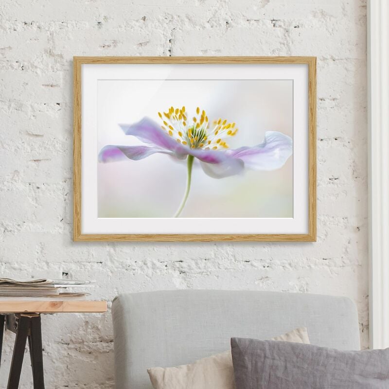 

Póster enmarcado - Windflower In White Dimensión LxA: 50cm x 70cm, Marco: Roble