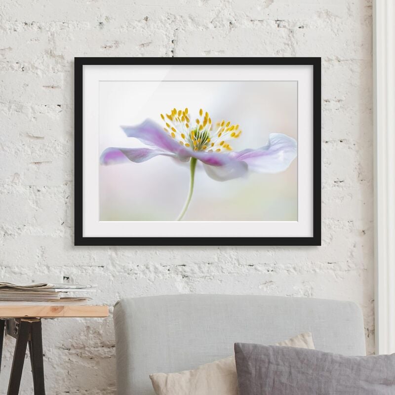 

Póster enmarcado - Windflower In White Dimensión LxA: 50cm x 70cm, Marco: Negro