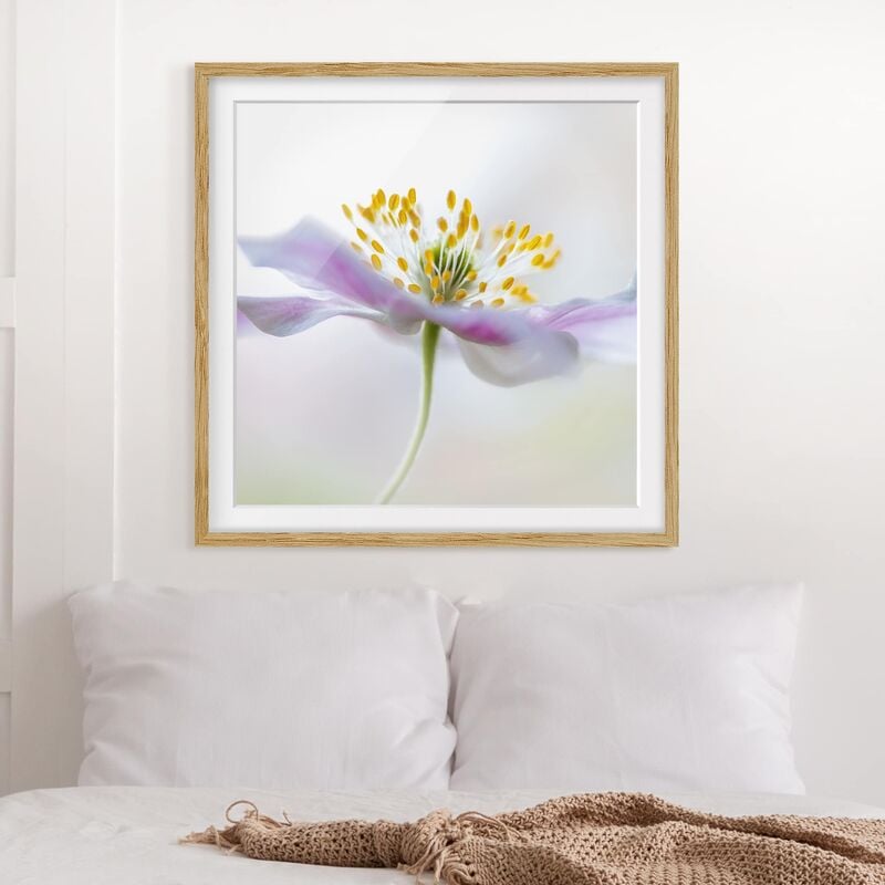 

Póster enmarcado - Windflower In White Dimensión LxA: 20cm x 20cm, Marco: Roble