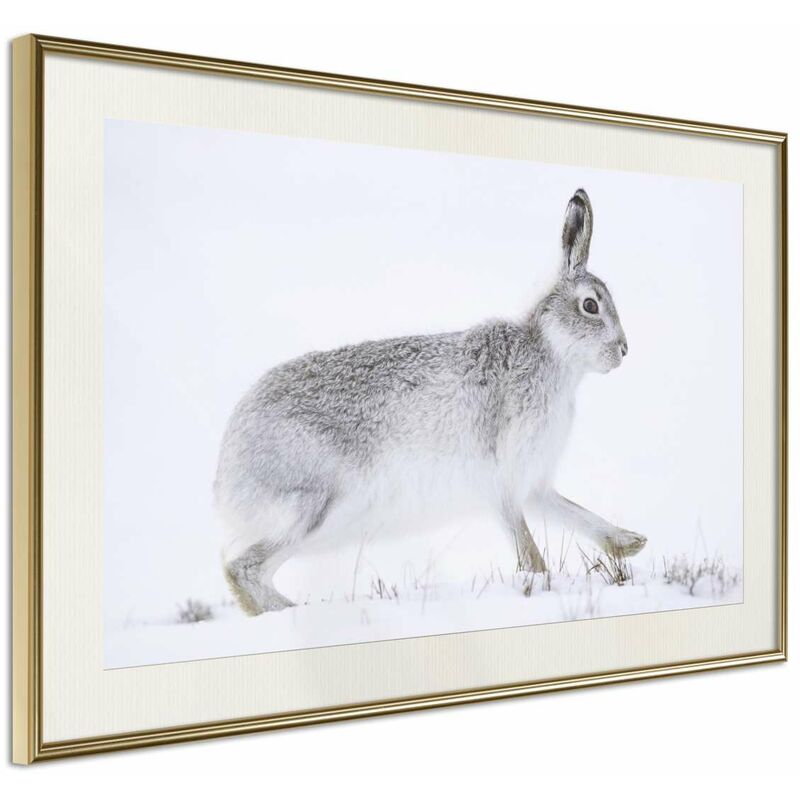 

Rtgs - Póster - Escape in the Snow Medidas 90X60