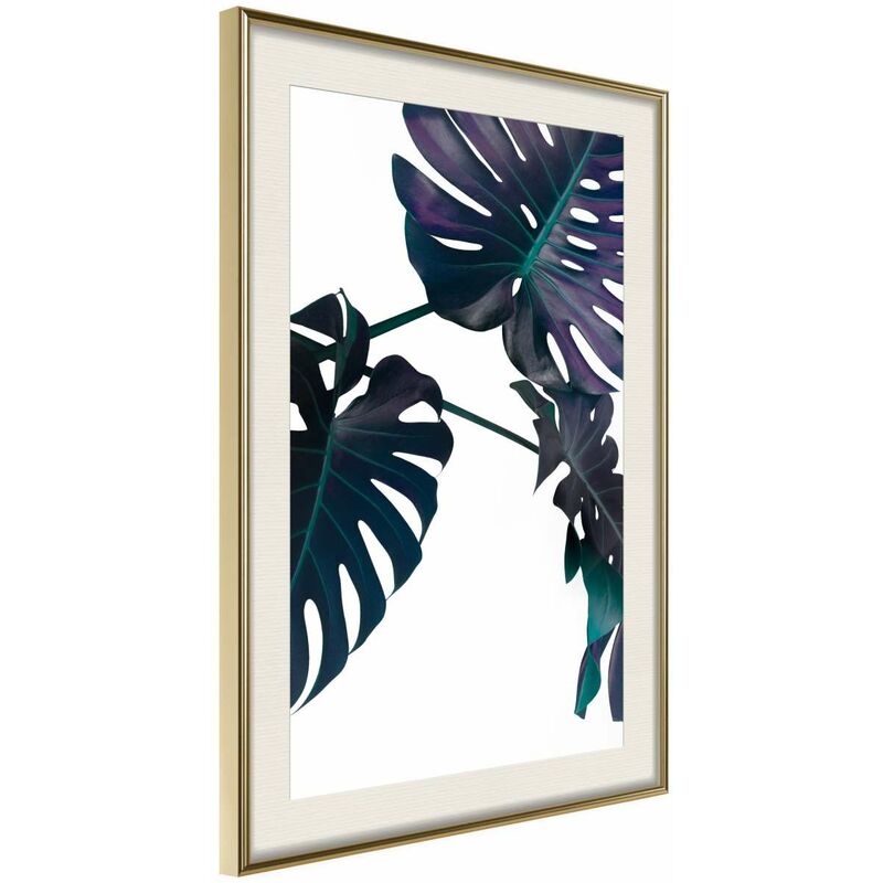 

Rtgs - Póster - Evergreen Monstera Medidas 40X60