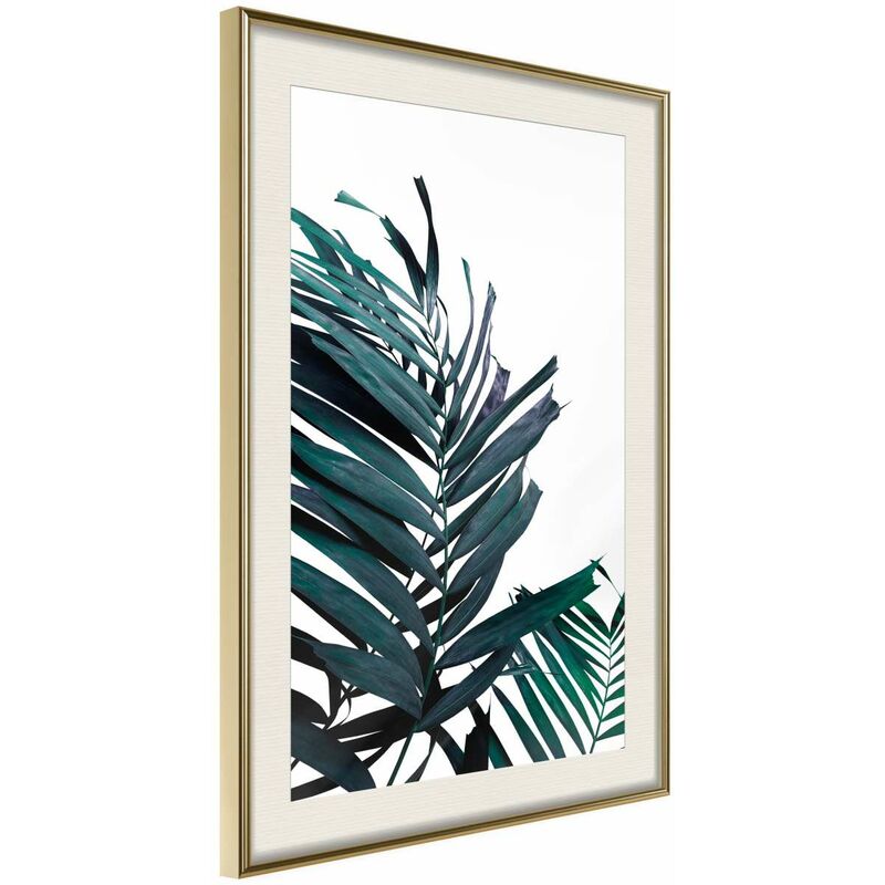 

Rtgs - Póster - Evergreen Palm Leaves Medidas 30X45