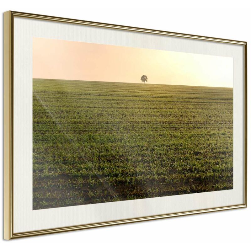 

Rtgs - Póster - Farmland Medidas 30X20