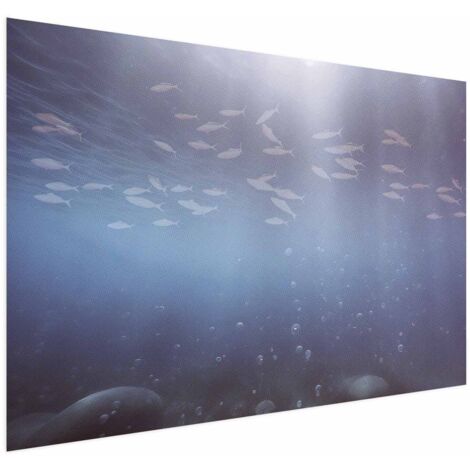 Poster – Fische in der Tiefe