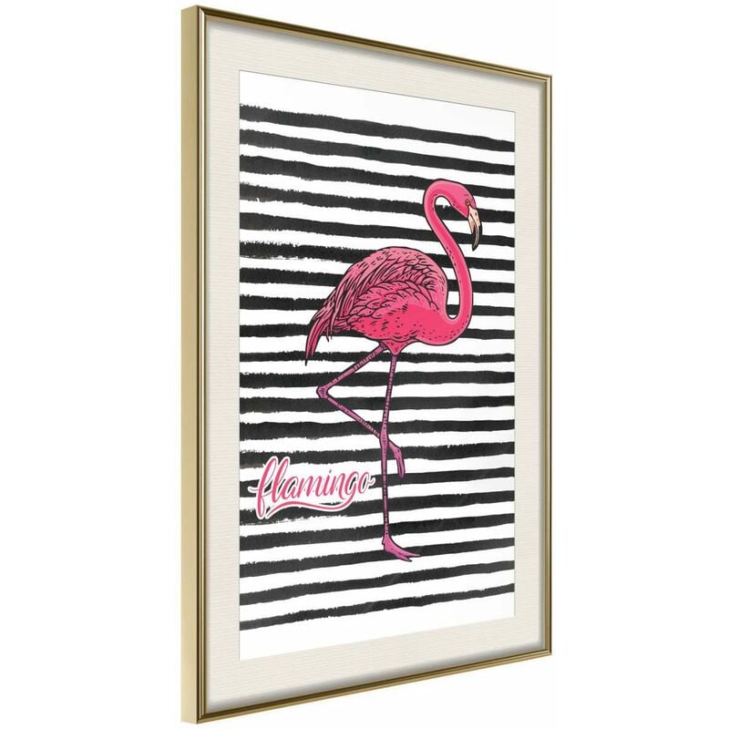 

Póster - Flamingo on Striped Background Medidas 40X60