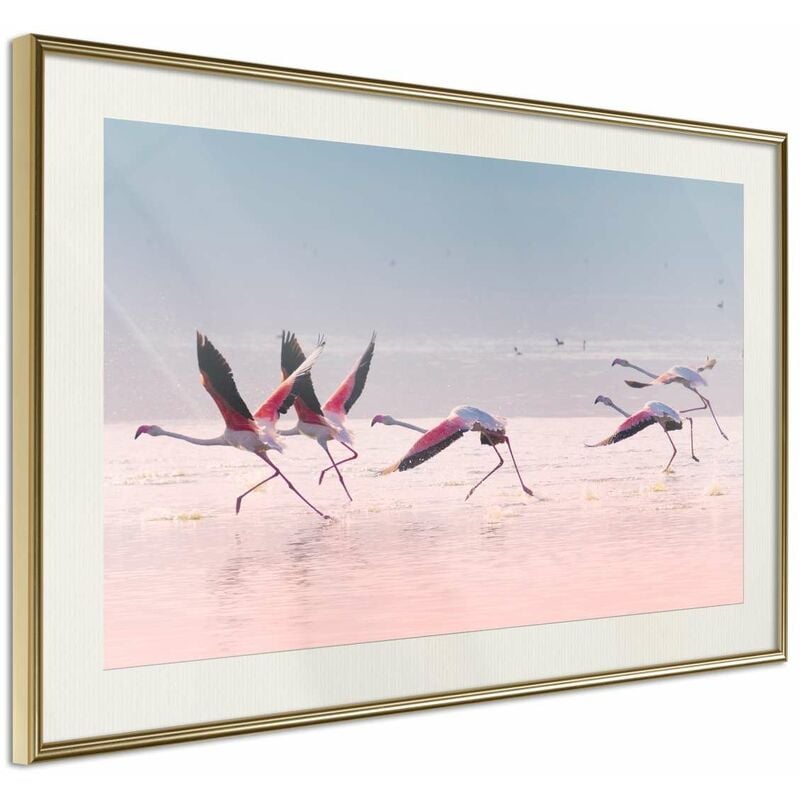 

Rtgs - Póster - Flamingos Breaking into a Flight Medidas 30X20