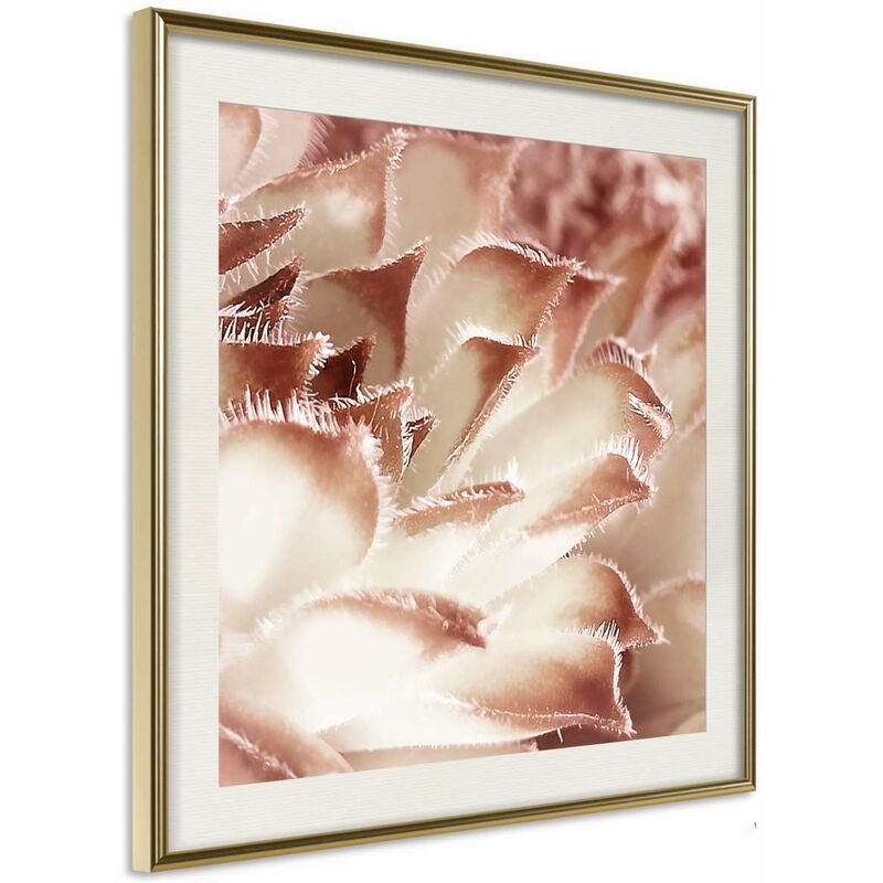 

Rtgs - Póster - Floral Calyx Medidas 20X20