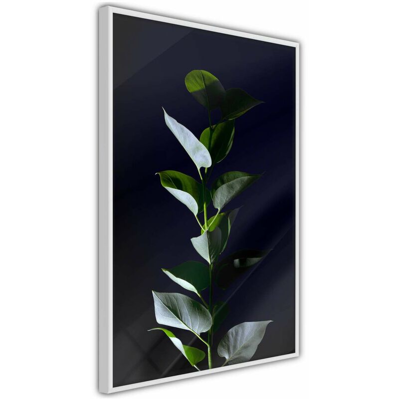 

Rtgs - Póster - Floral Elegance Medidas 30X45