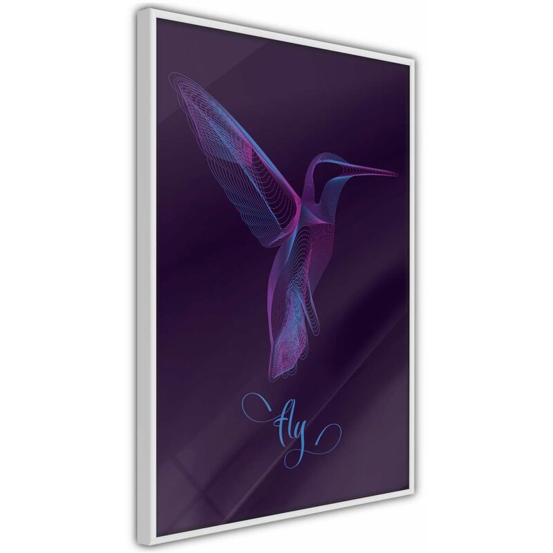 

Rtgs - Póster - Fluorescent Hummingbird Medidas 40X60