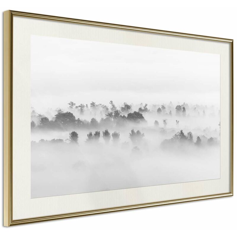 

Rtgs - Póster - Fog Over the Forest Medidas 60X40