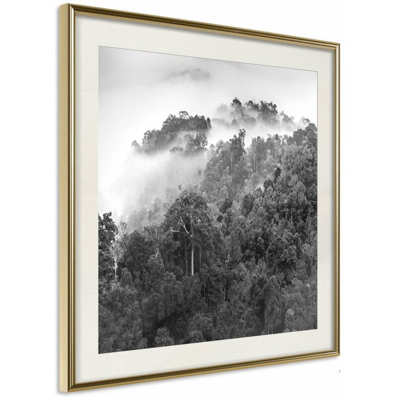 

Póster - Foggy Forest Medidas 20X20