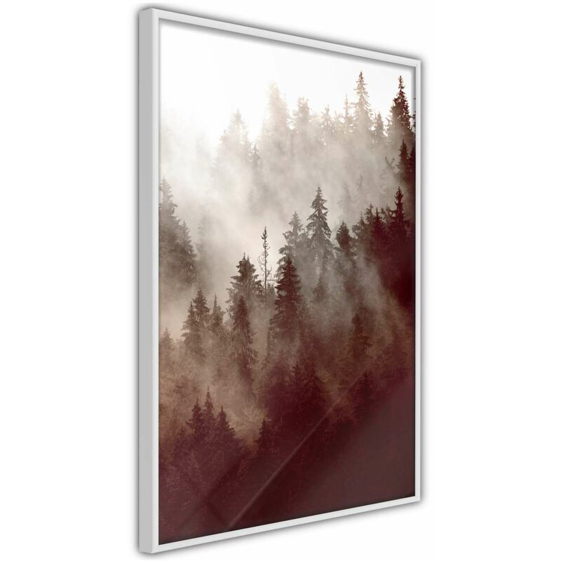 

Rtgs - Póster - Forest Fog Medidas 30X45