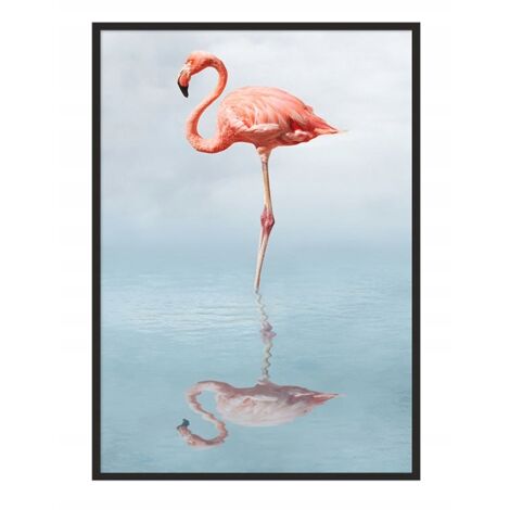 POSTER FOTOGRAFICO IN CORNICE 43x33 cm Flamingo P687