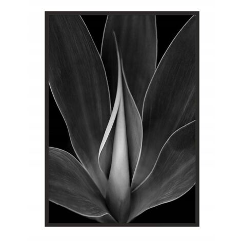 POSTER FOTOGRAFICO IN CORNICE 53x73 cm Fiore P1036