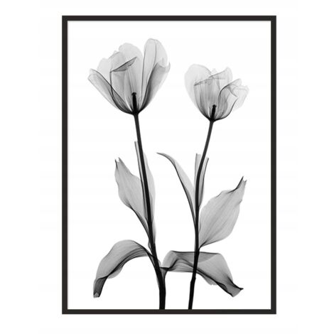 POSTER FOTOGRAFICO IN CORNICE 53x73 cm Fiori P1042