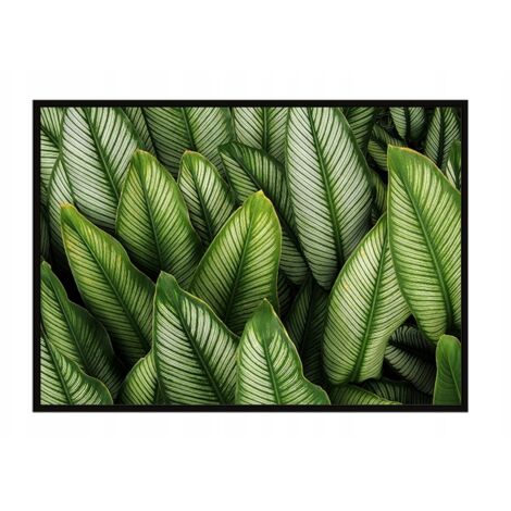 POSTER FOTOGRAFICO IN CORNICE 53x73 cm Foglie P1119