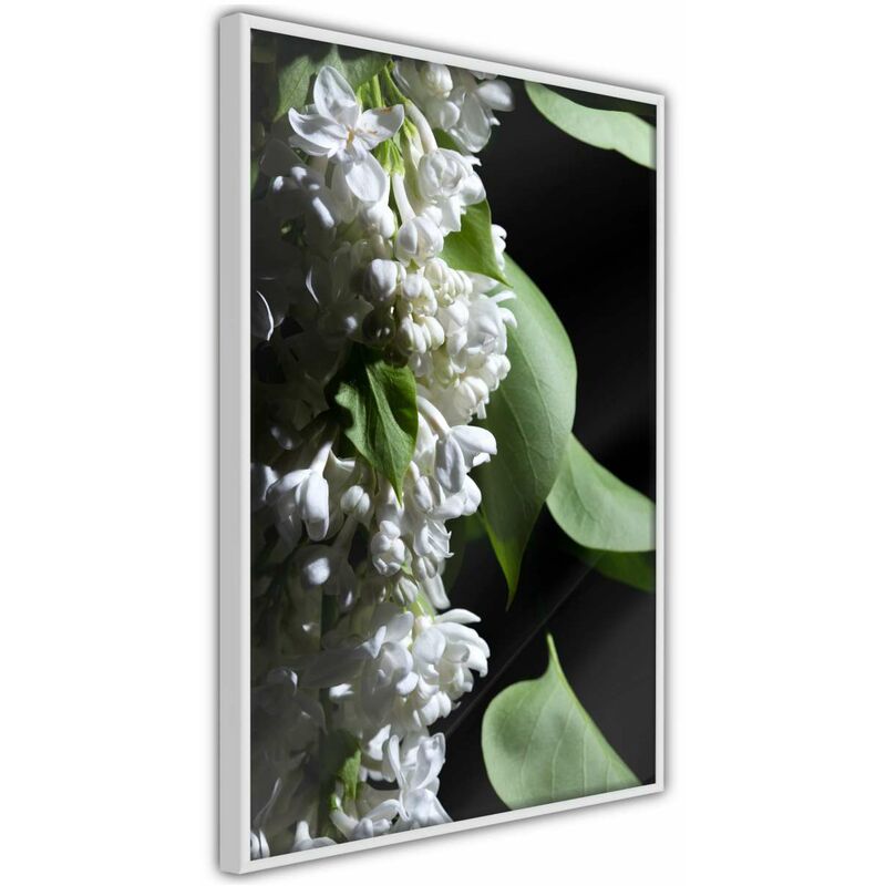 

Póster - Fragrant Spring Medidas 40X60