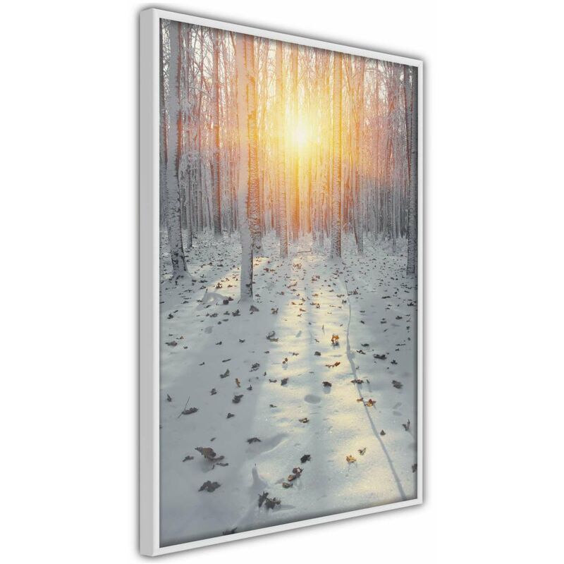 

Póster - Frosty Sunset Medidas 30X45