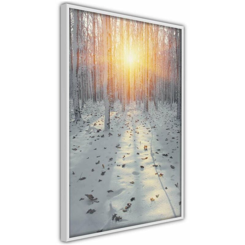 

Rtgs - Póster - Frosty Sunset Medidas 20X30