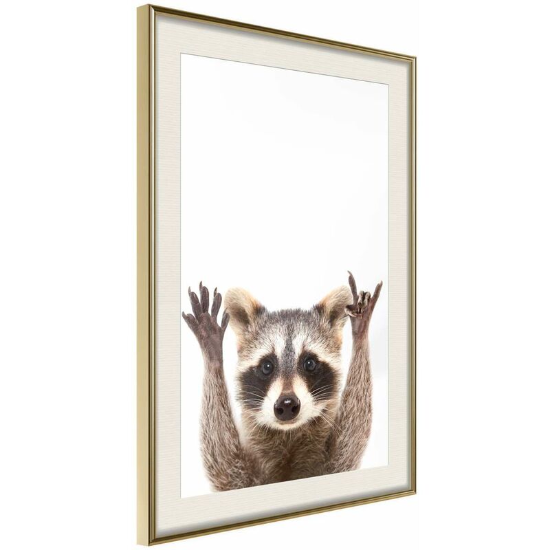 

Rtgs - Póster - Funny Racoon Medidas 30X45