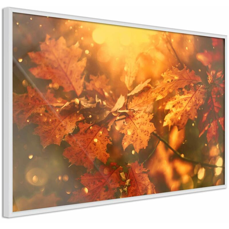 

Rtgs - Póster - Golden Autumn Medidas 60X40