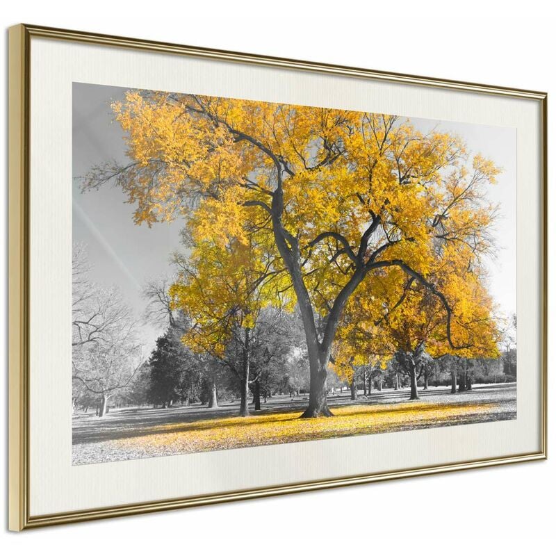 

Rtgs - Póster - Golden Tree Medidas 60X40