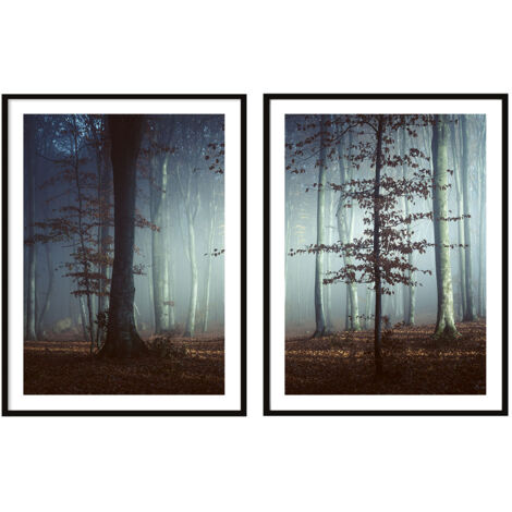 POSTER IMMAGINI IN CORNICE 53x73cm Dittico Set di 2 dipinti Foresta Oscura P2091