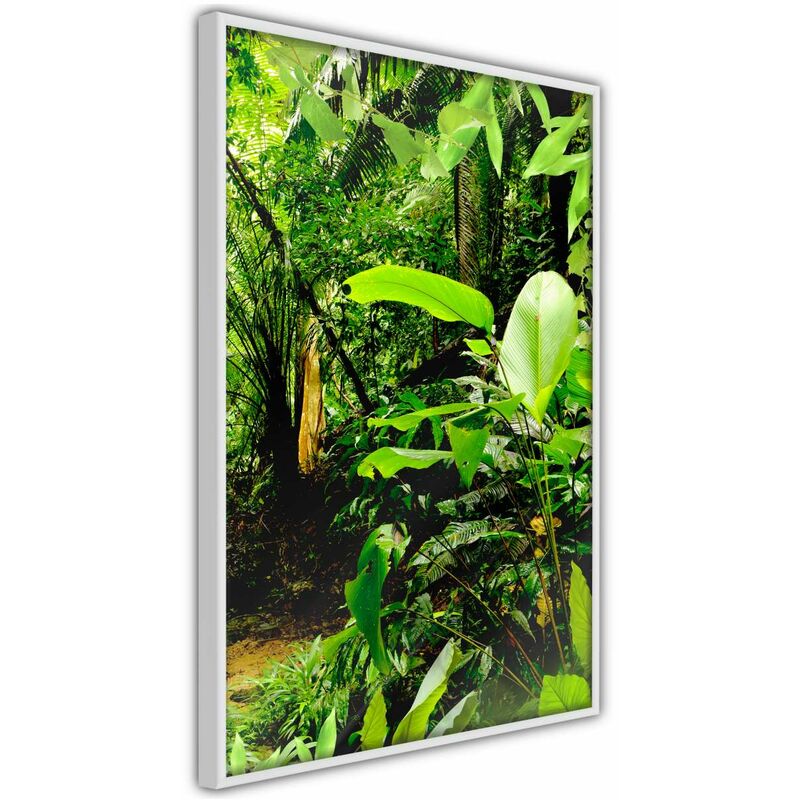 

Rtgs - Póster - In the Rainforest Medidas 40X60