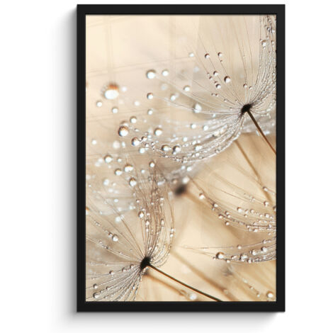 POSTER INCORNICIATO Dente di leone - Astratto - Natura - Beige 40x60 cm