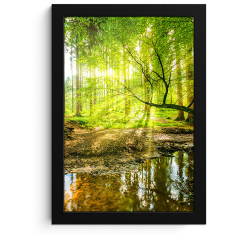 POSTER INCORNICIATO Foresta - Paesaggio - Acqua - Alberi - Sole - Verde - Natura 20x30 cm