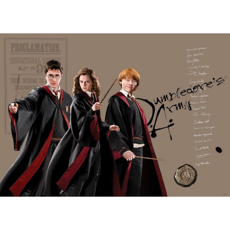 Ag Art - Poster intissé - Harry Potter et ses amis - Hermione et Ron - 155 x 110 cm