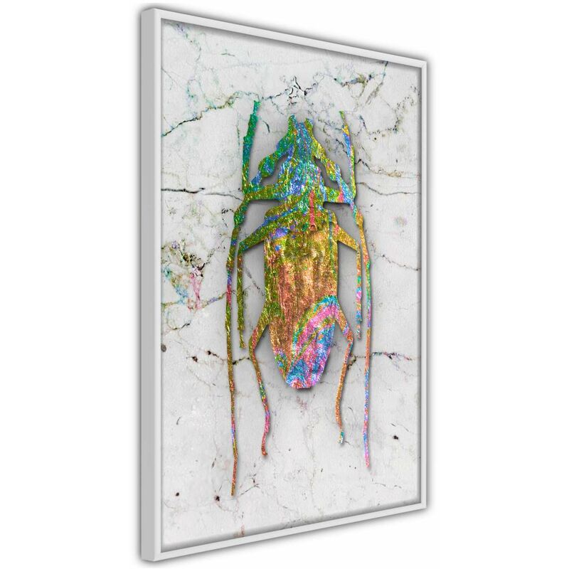 

Rtgs - Póster - Iridescent Insect Medidas 40X60