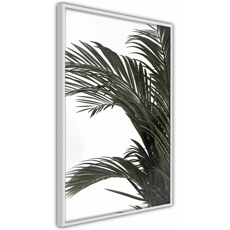 

Rtgs - Póster - Jungle Scent Medidas 40X60