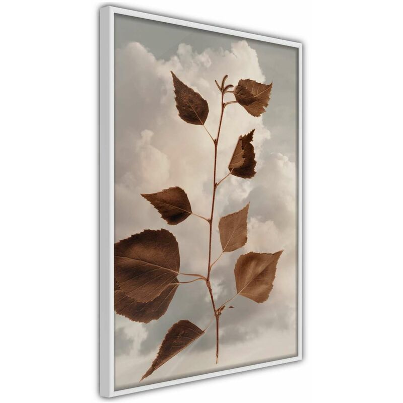 

Rtgs - Póster - Leaves in the Clouds Medidas 30X45