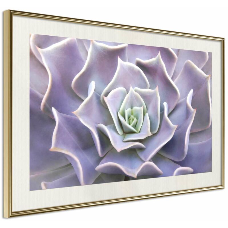 

Rtgs - Póster - Like a Flower Medidas 60X40