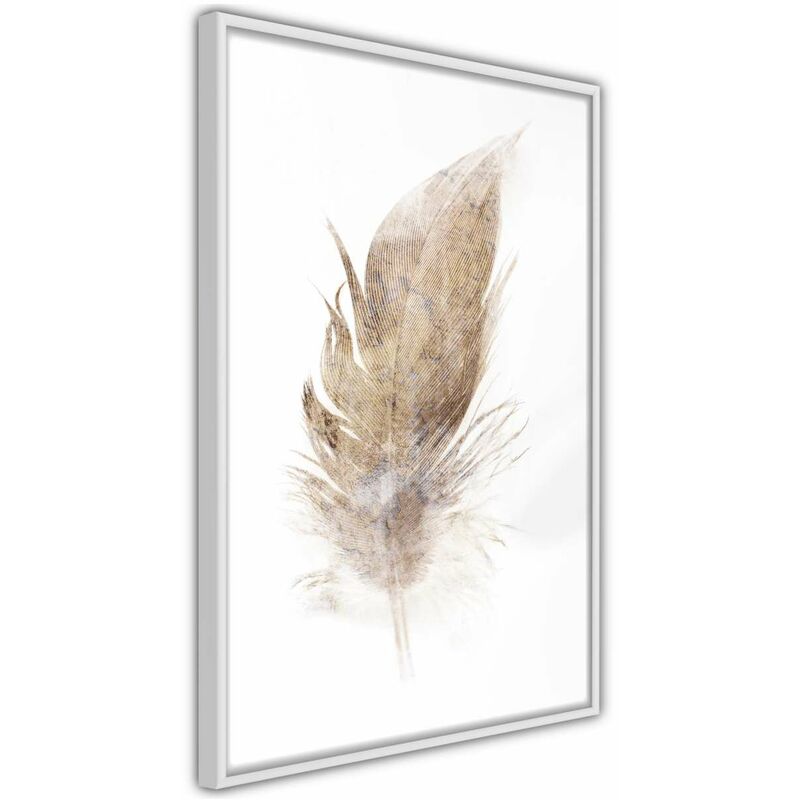 

Rtgs - Póster - Lost Feather (Beige) Medidas 20X30