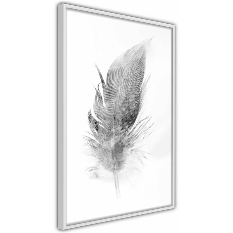 

Póster - Lost Feather (Grey) Medidas 40X60