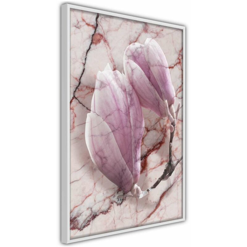 

Rtgs - Póster - Magnolia on Marble Background Medidas 30X45