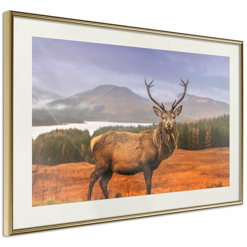 

Rtgs - Póster - Majestic Deer Medidas 45X30