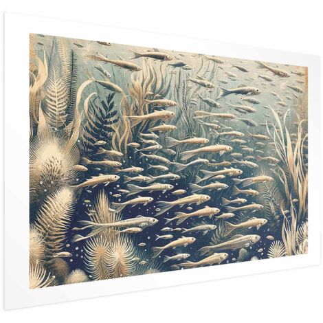 poster - Natura oceanica