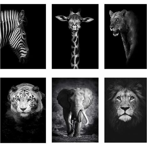 Poster Animaux, Lion noir et blanc