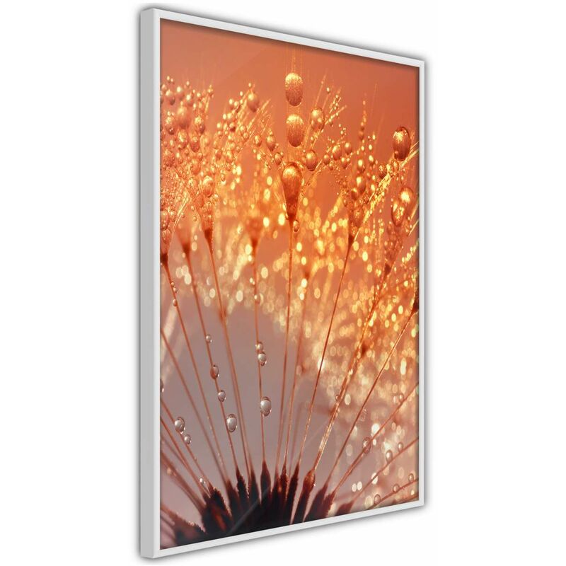 

Rtgs - Póster - Orange Breath of the Summer Medidas 40X60