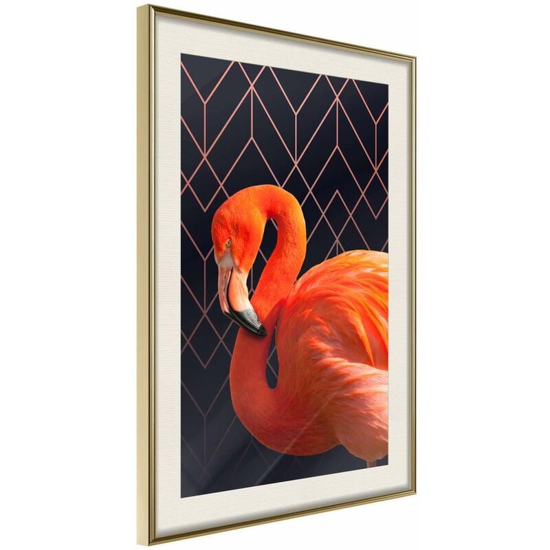 

Rtgs - Póster - Orange Flamingo Medidas 40X60